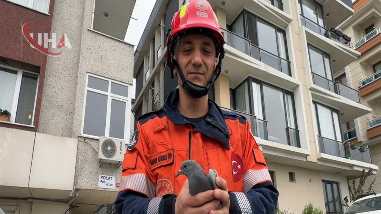 Asansor-Bosluk-Kus-Dustu