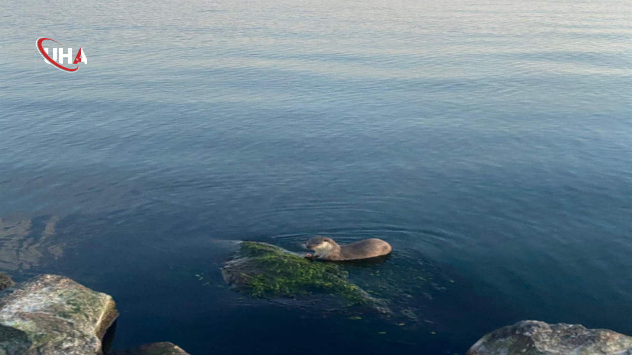 cumhurbaskani-erdogan-aile-bekasi