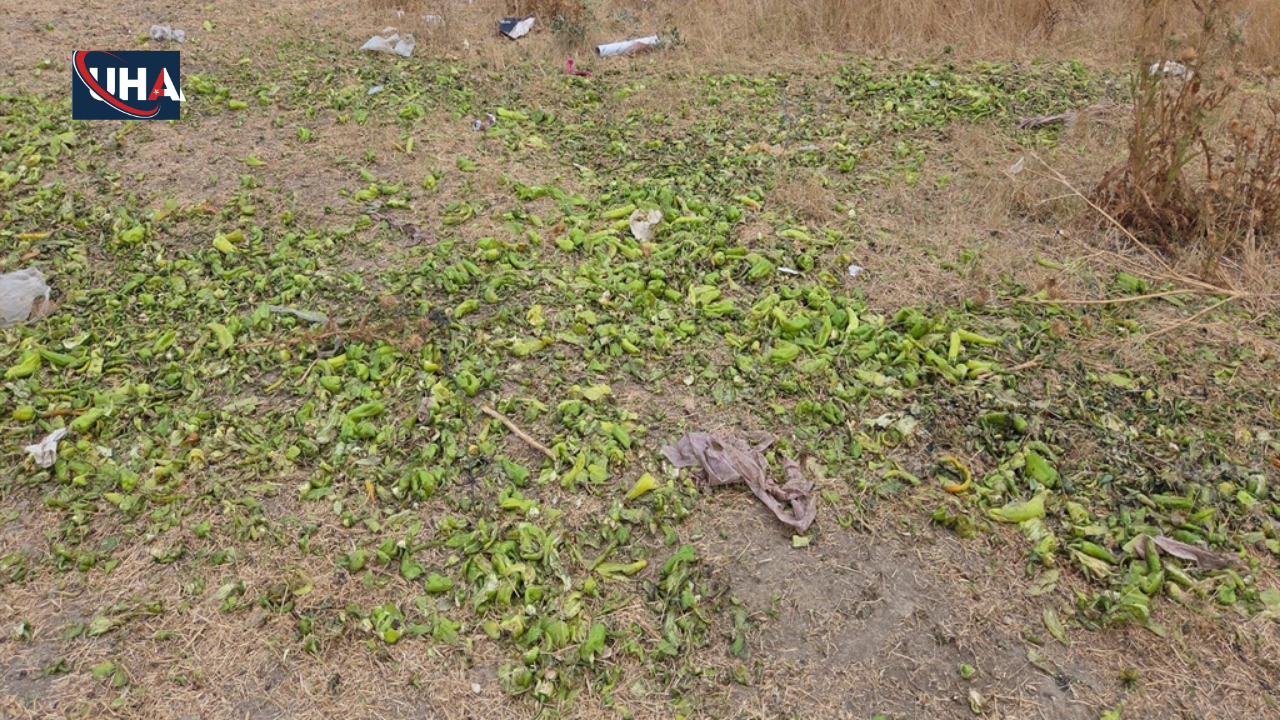 Biberlerinhayvanlaraverilmesineiliskinacikmala