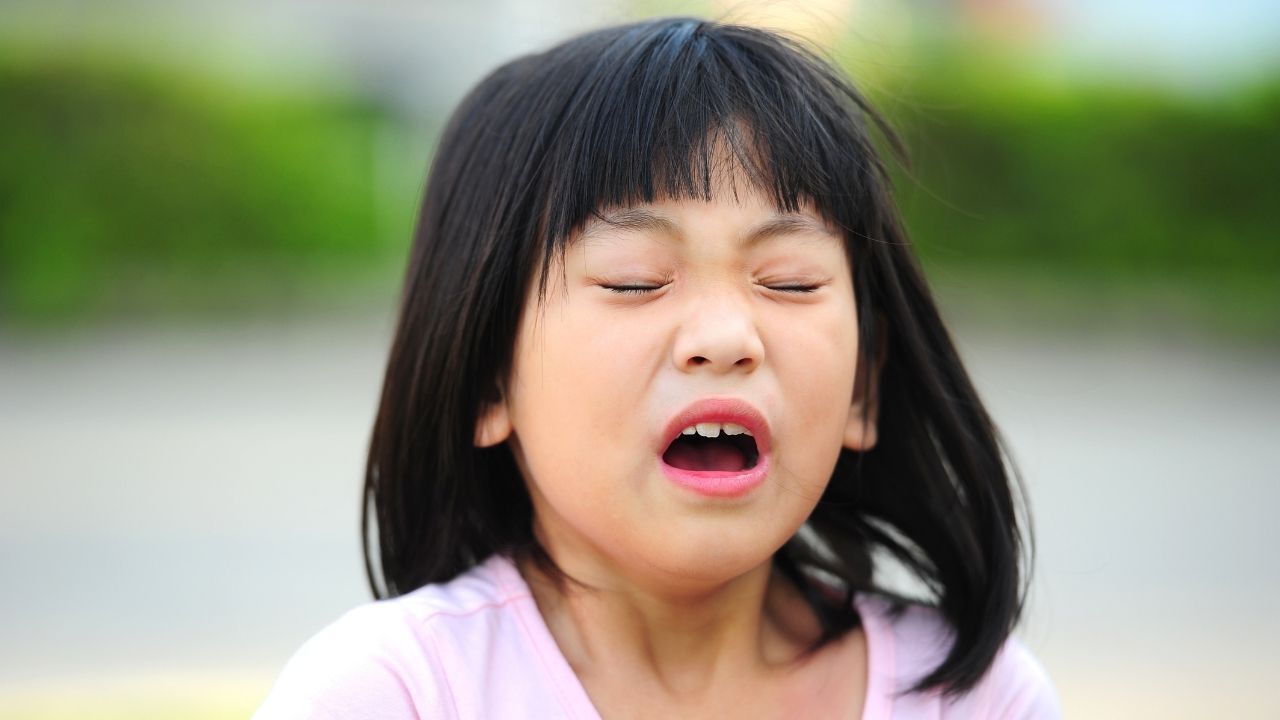 Bir Anda Gelen Hapsirik Ne Anlama Geliyor Bagisiklik Sisteminin Gizli Savunmasi 1770559157042