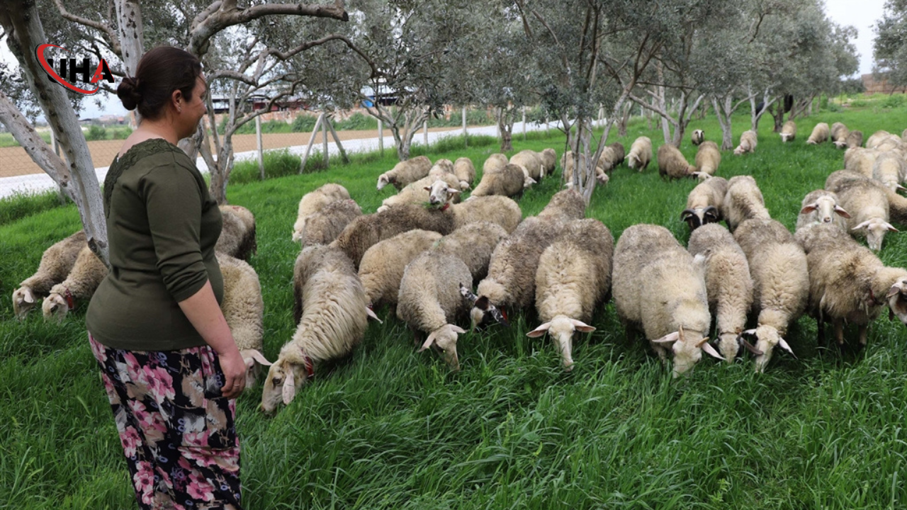 Bir-kuzuyla-basladi-ciftlik-sahibi-oldu