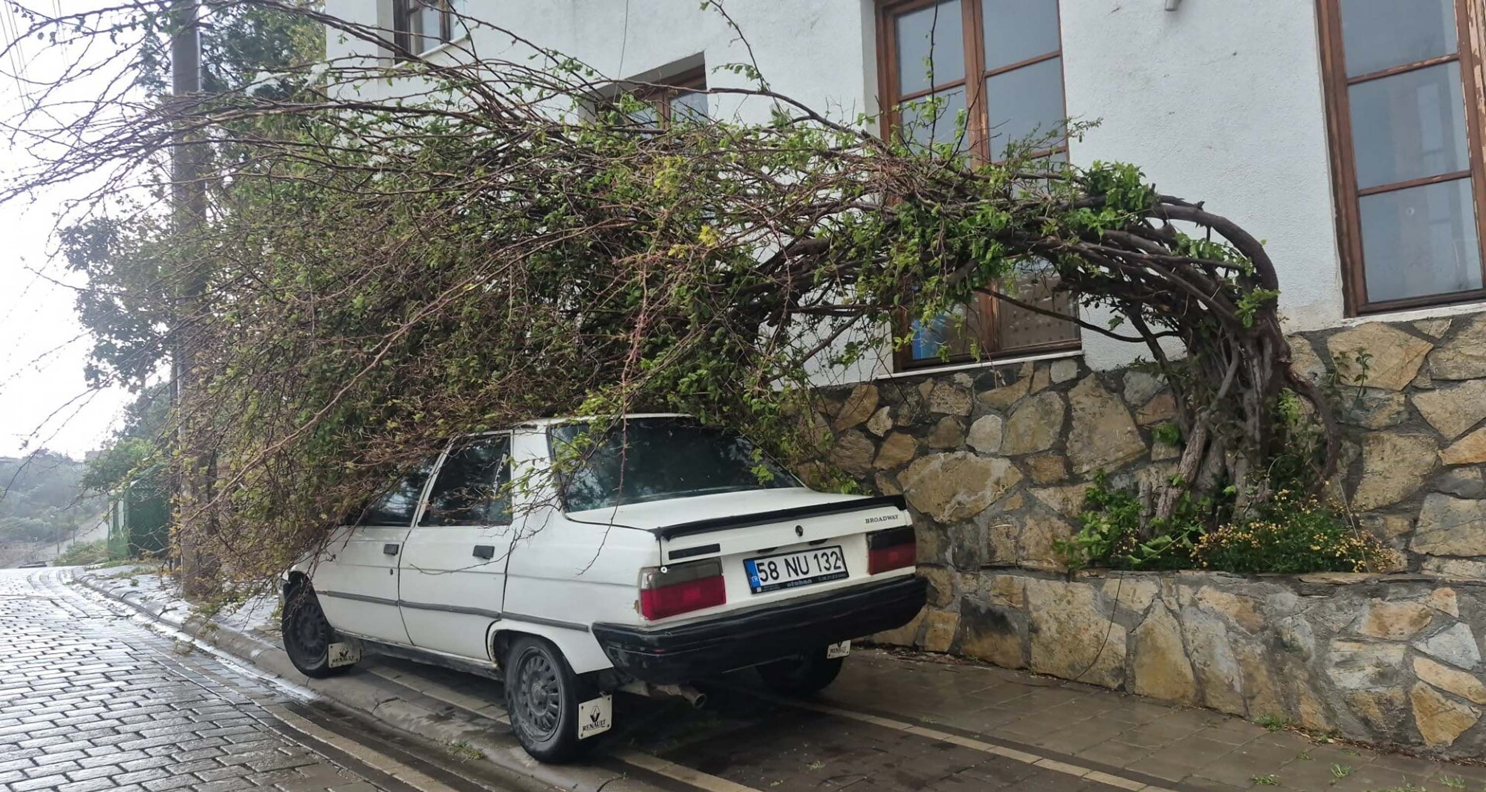 Bodrumda Fırtına (2)