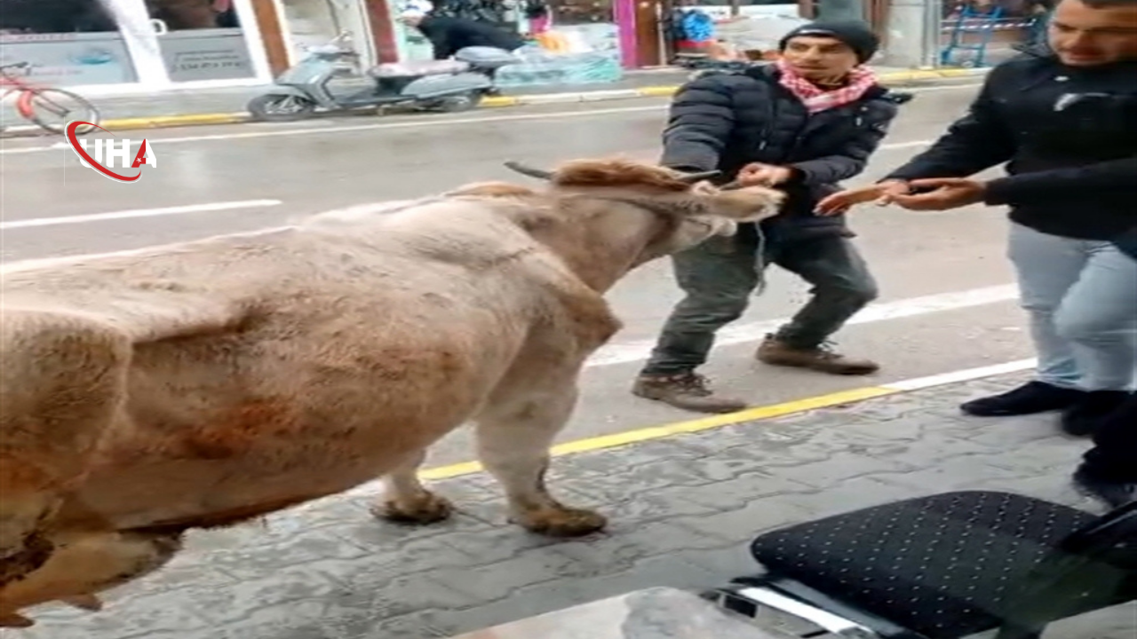 dijital-platformlara-kisitlama-gelecek