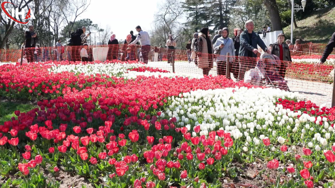 istanbul-lale-zamani