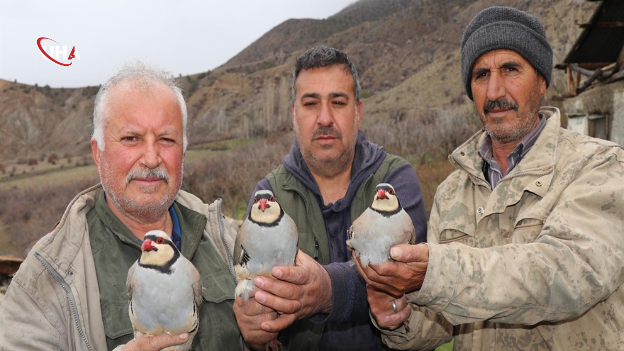 Keklik-yasam-takip-envanter