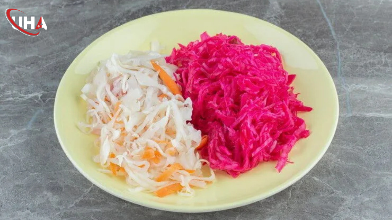 Lahanatursusufaydasi