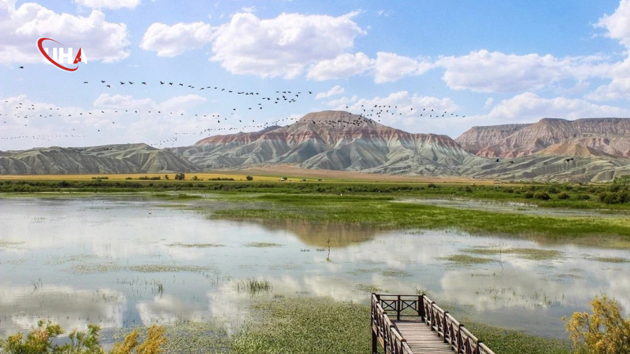 Nallihan Kuscenneti Doga Tutkunlari
