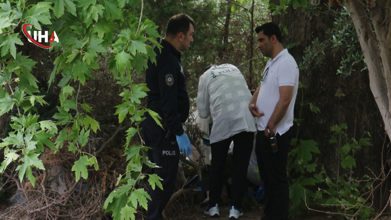 agac-altinda-bulunan-sahis