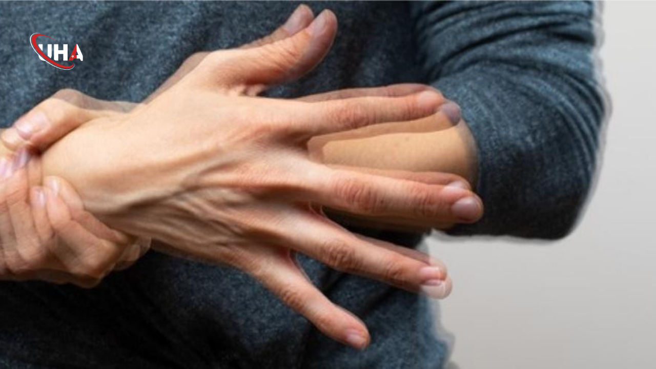 P11Nisanparkinsongunu