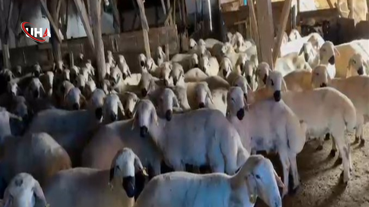 tapusuz-arazi-muhurlendi