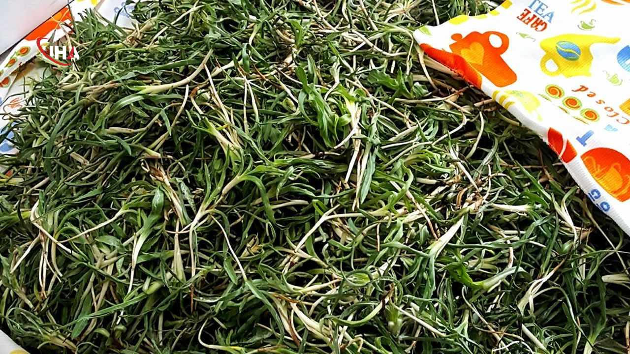 Yemlik-otu-cilde-iyigelir