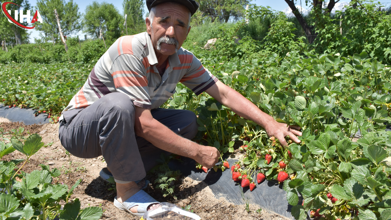 nigde-geleneksel-tarim