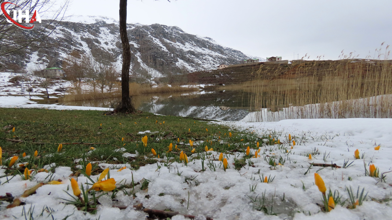 egrigol-yaylasi-karlar-erimeye-basladi