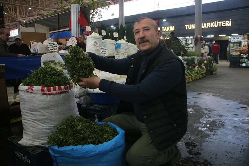 Hasat Etkinliği 2