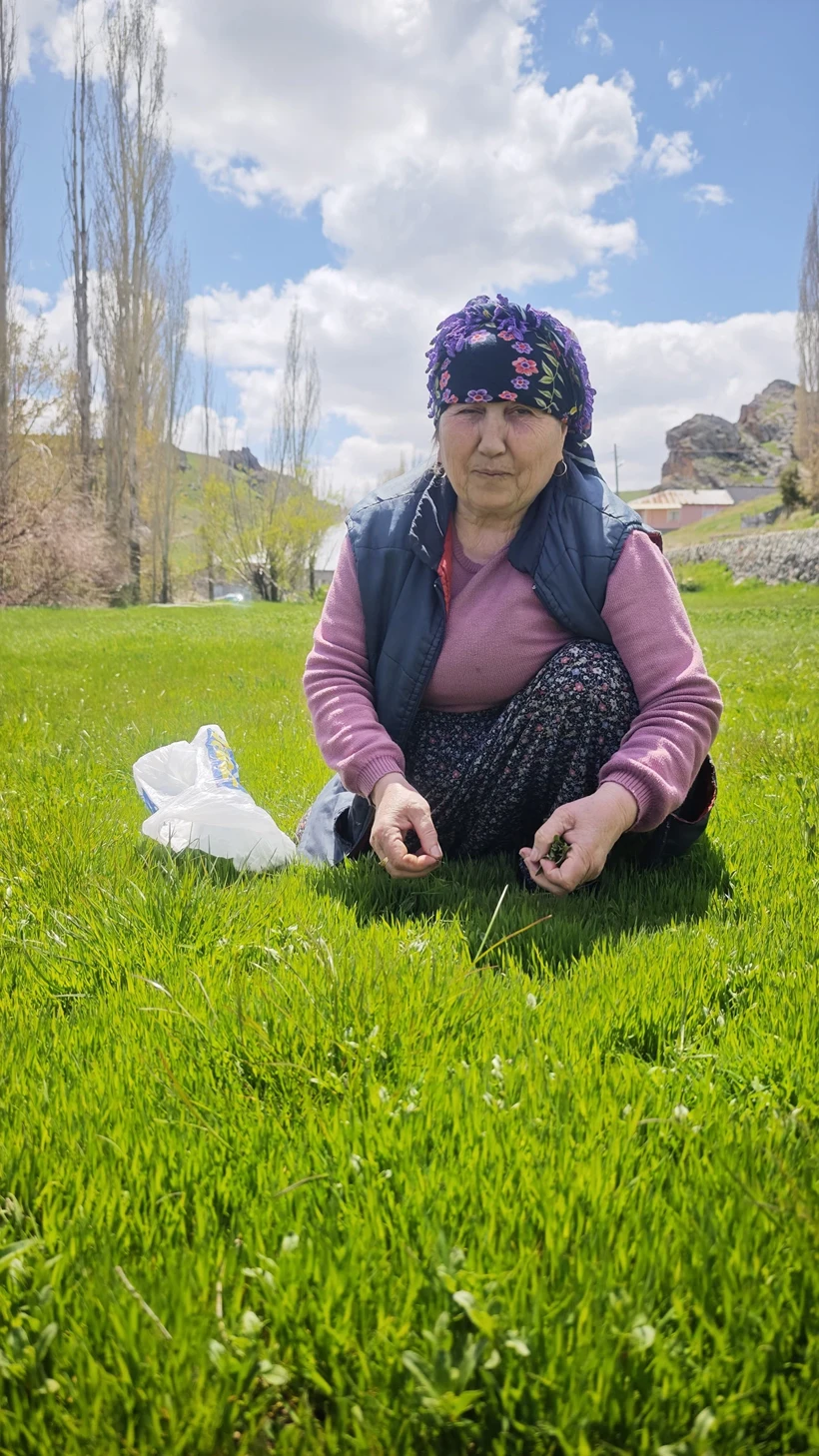 Hasat Etkinliği 3