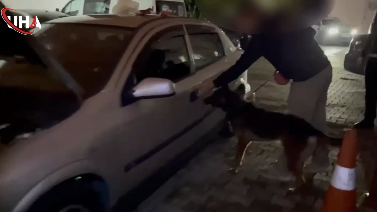 Sakarya Uyuşturucu 1
