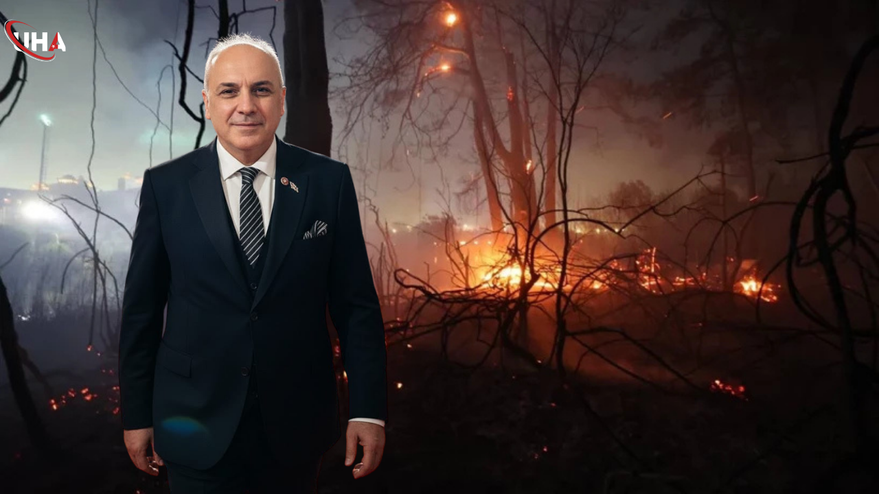 anahtar-parti-orman-yangini