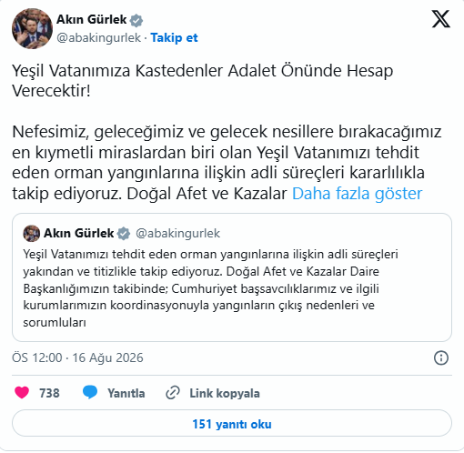 akin gurlek orman