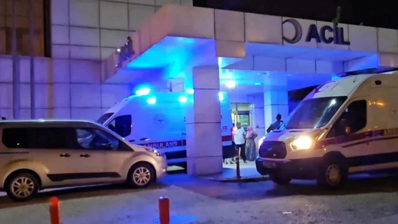 Sapanca'da Aile Faciası: 16 Yaşındaki Genç Annesini Öldürüp Kayıplara Karıştı