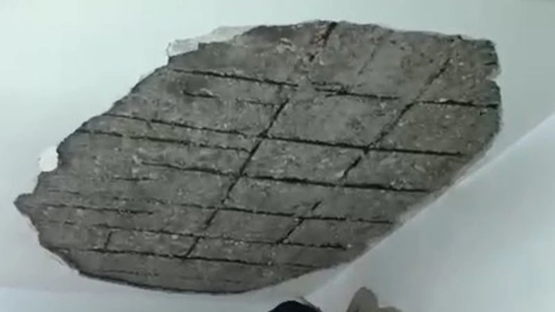Gaziantep'te Deprem Nedeniyle Evin Tavanı Çöktü!