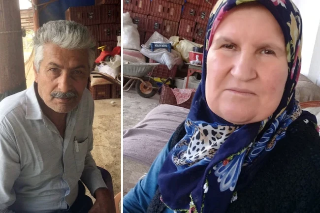 Ci̇nayet 3