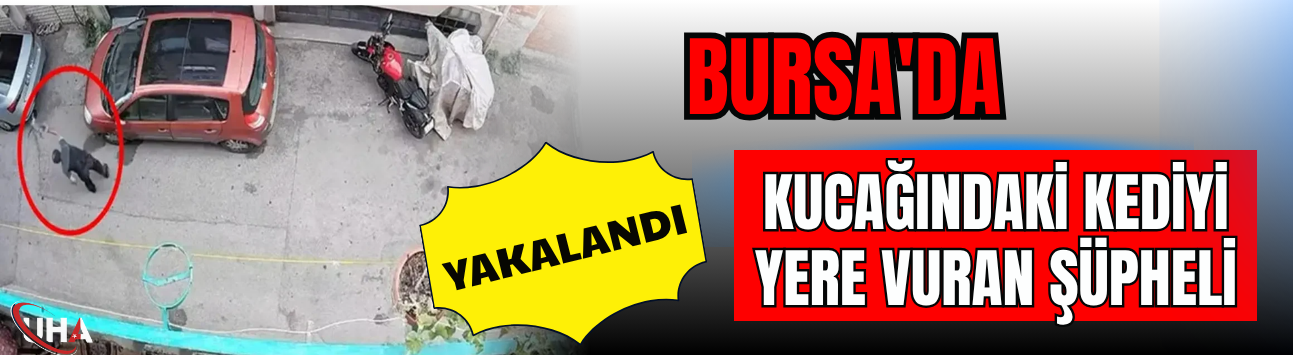 Bursa'da Kucağındaki Kediyi Yere Vuran Şüpheli Yakalandı