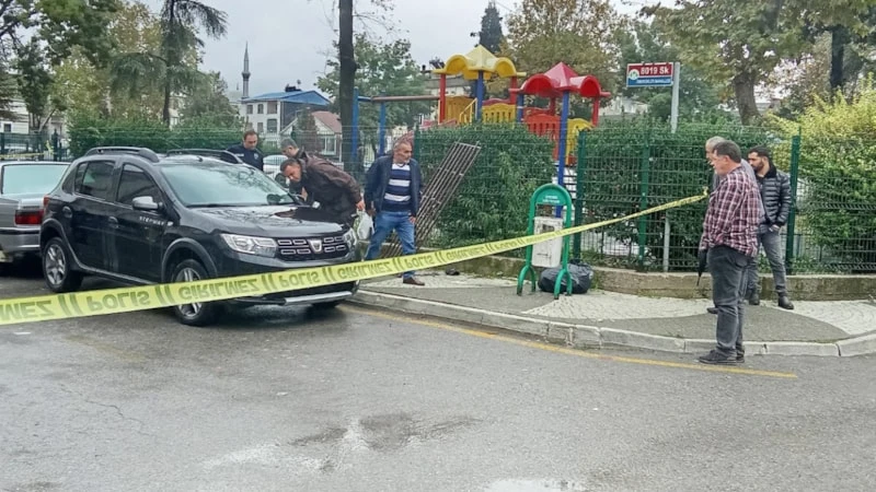 Sakarya'da Kardeşini Vurdu
