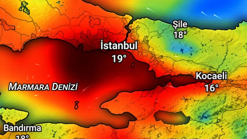 12-46