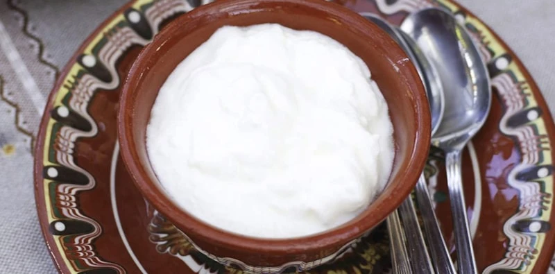 8 Yoğurt Bulgari̇stan
