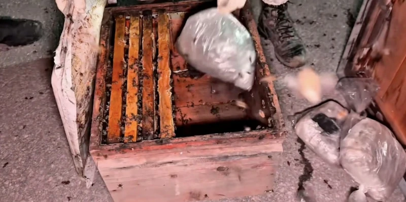 Ari Kovani Uyuşturucu