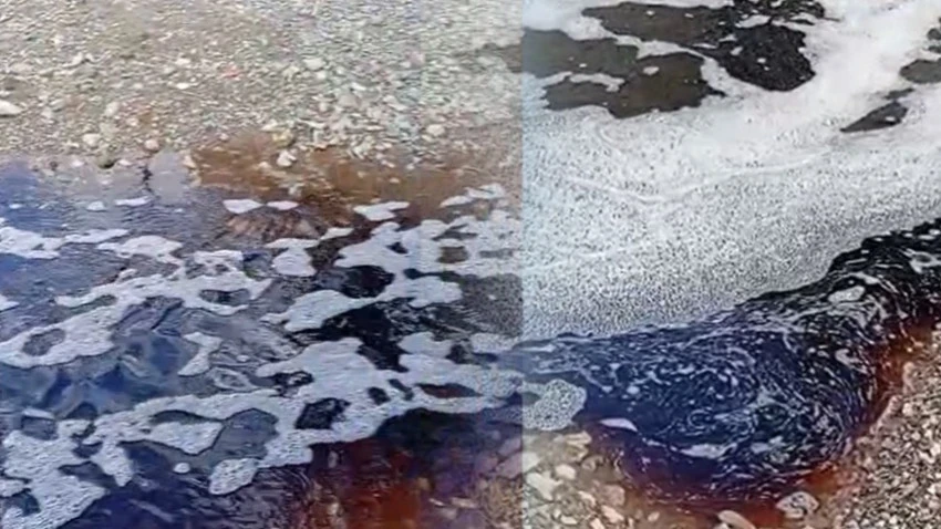 Yalova Açıklarında Deniz Yüzeyi Kırmızıya Boyandı